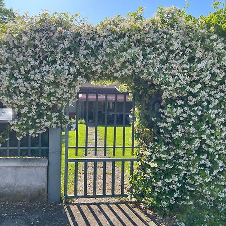 Garda Art&Garden Villa Volta Mantovana Exteriör bild