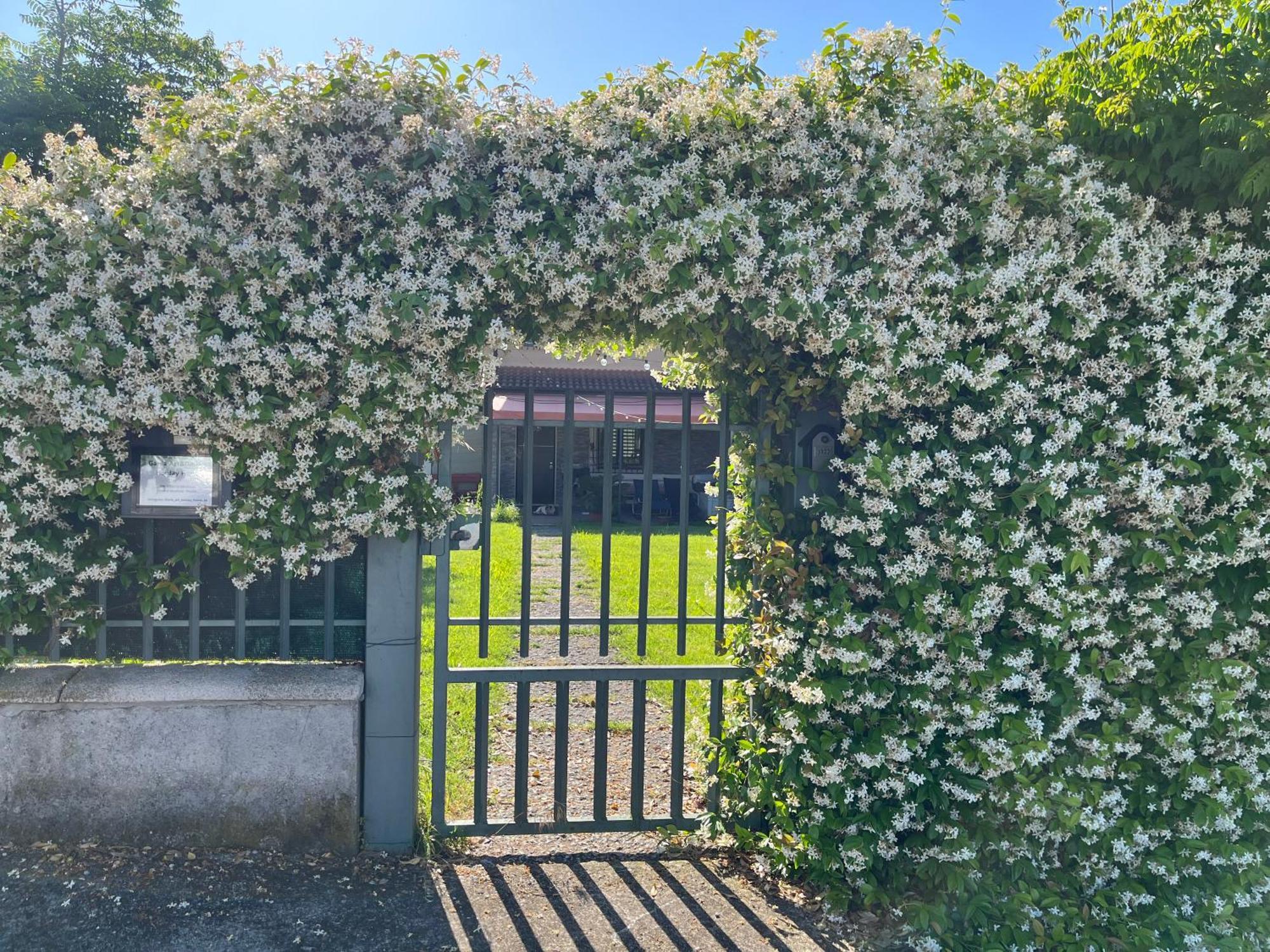 Garda Art&Garden Villa Volta Mantovana Exteriör bild